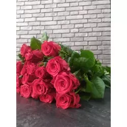 Róża czerwona 20 szt, dł 60cm