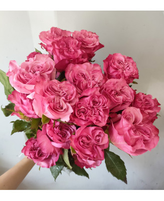 Róża różowa 40cm 25 szt.