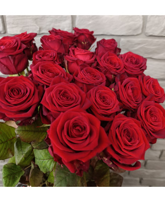 Róża cięta 10 szt.-czerwona, 60cm