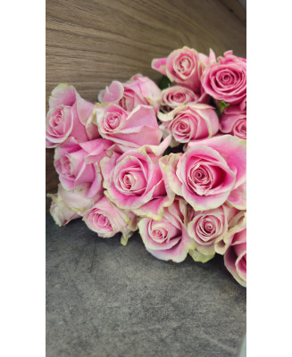 Róża cięta 10 szt. - jasnoróżowa, 60cm