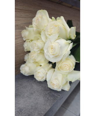 Róża cięta 10 szt. - biała, 60cm