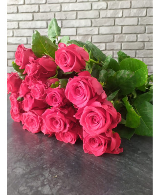 Róża cięta 10 szt. - malinowa, 60cm