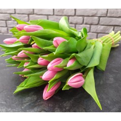 Tulipany różowe 25 szt.